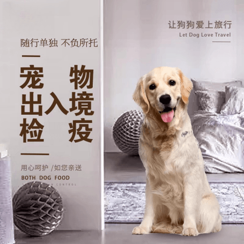 大港区宠物托运到哥伦比亚猫狗宠物入境规定和