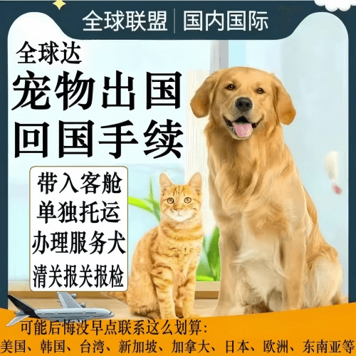 大港区宠物托运到柬埔寨宠物入境规定和要求