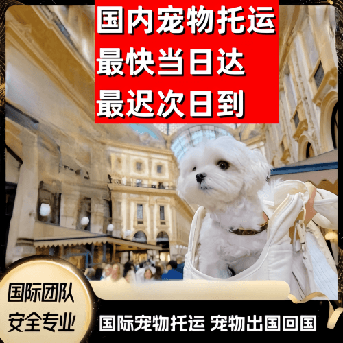 大港区到澳大利亚（澳洲）宠物入境规定和要求