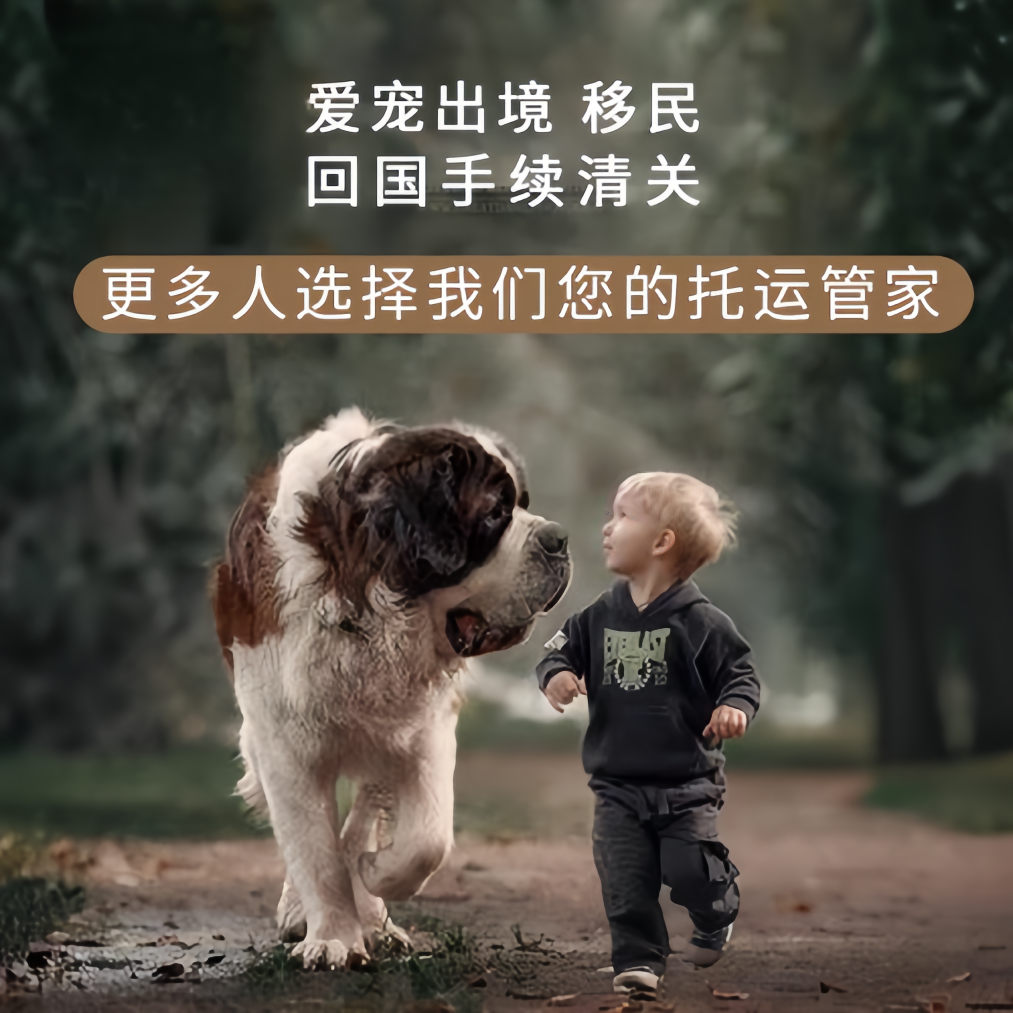 满财大港区宠物全球达宠物托运在遵守入境目的地政策的条件