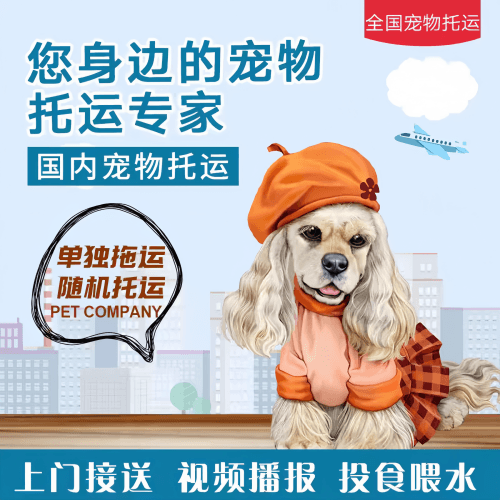 满财大港区宠物全球达宠物托运作为专业的宠物运输代理机构